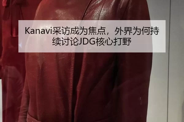 Kanavi采访成为焦点，外界为何持续讨论JDG核心打野